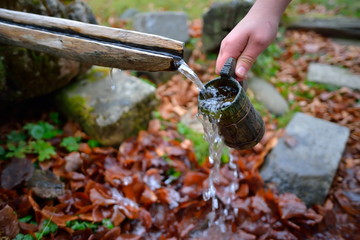 source of spring water flowing in the mountain