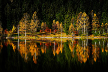 autumn landscape in the mountains