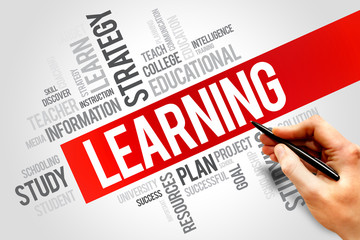 LEARNING word cloud, business concept