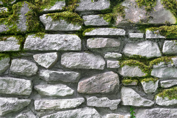 texture of the stone wall overgrown with ivy.