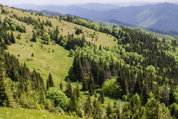 path in green summer mountains with white clouds blue sky