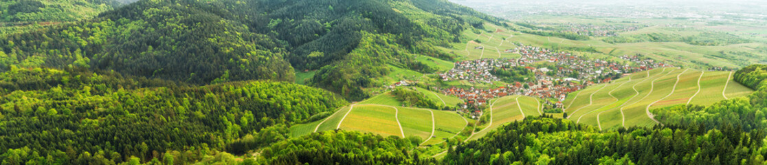 Panoramic view of the black forest and typical village. Germany.