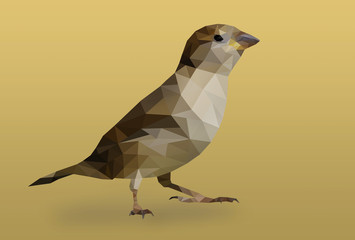 Polygon bird