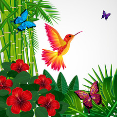 Tropical floral design background with bird, butterflies.