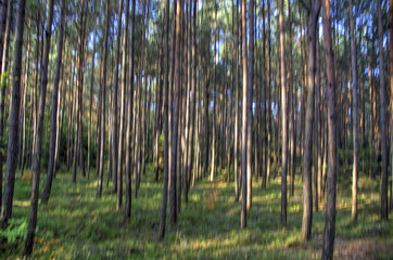 Fototapete bei efototapeten.de bestellen   