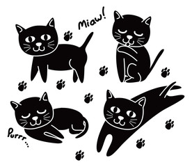 set of black cute cat