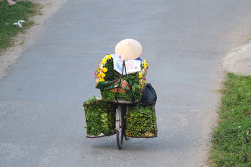 Life of vietnamese street vendor