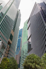 Fototapeta premium skyscrapers in city