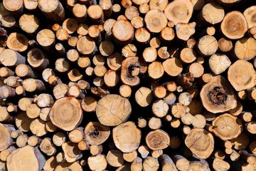 Möbelaufkleber Set of felled logs © kingan