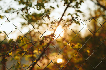 Sunset mesh fence
