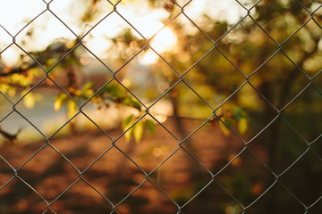 Sunset mesh fence