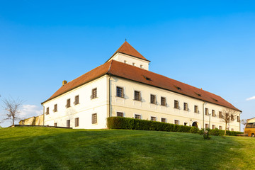 Fototapeta na wymiar castle in Cejkovice, Czech Republic