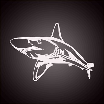 Requin
