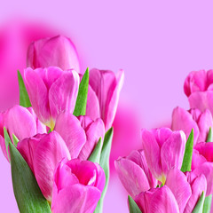 Obraz premium Collage with pink tulips