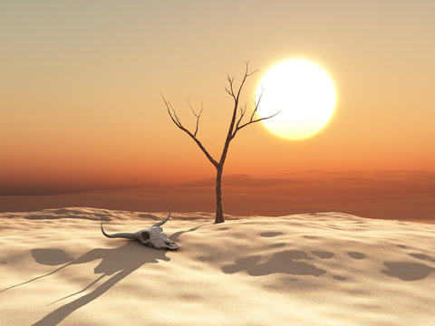 Paisaje des&eacute;rtico