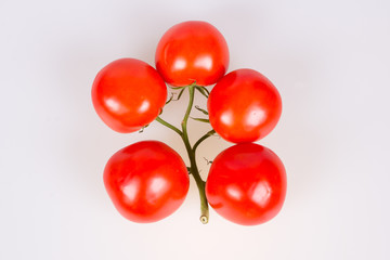 Tomatoes on a branch