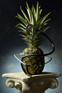 Ananas comosus Ananassl&auml;ktet Ананас أناناس 