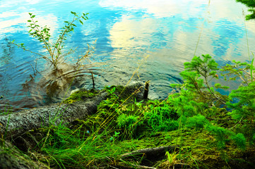 Круги на воде