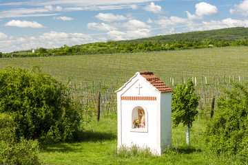 God's torture near Hnanice with spring vineyard, Southern Morav