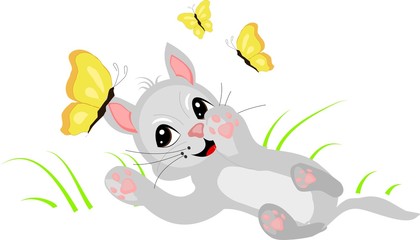 Cute kitten playing with butterflies