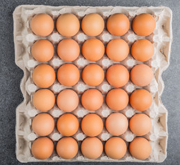 Chicken eggs in the package