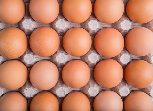 Chicken eggs in the package