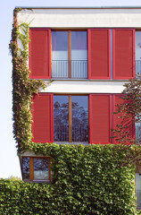 Dresden house. Red and green. Windows and verdure.