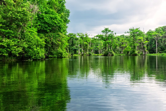 Wakulla Springs State Park