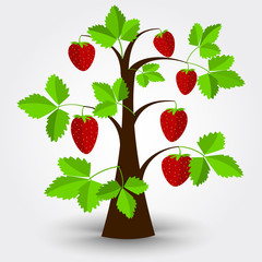 Strawberry tree isolated on a gray background with shadow.