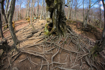 Bieszczady © marcinbawiec
