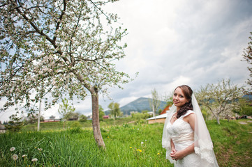 Bride near the blossom tree