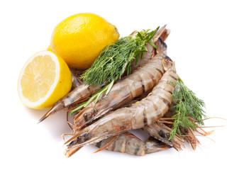 Fresh raw tiger prawns