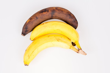 Bananas
