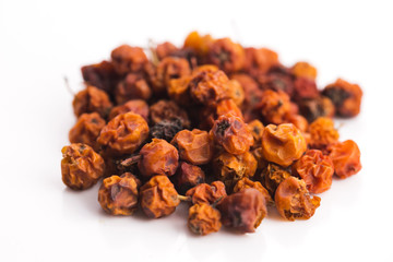 Dried rowan berries on a white background