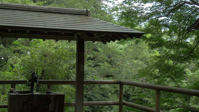 Green preservation in the heart of Tokyo.