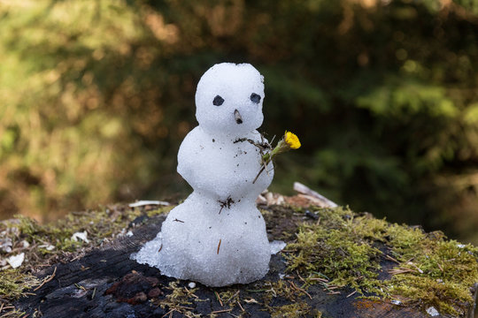 Kleiner Schneemann mit Blume im Fr&uuml;hling