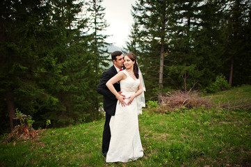 wedding couple  holding hands in a forest