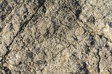 Texture of a rock