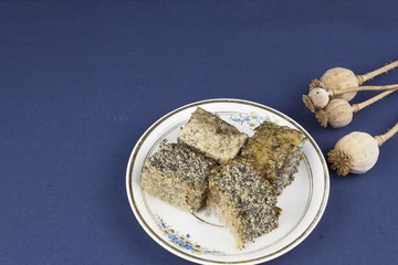 homemade poppy seed cake on a table with a tablecloth