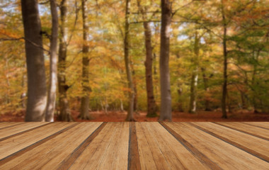 Naklejka na ściany i meble Vibrant Autumn Fall forest landscape image with wooden planks fl