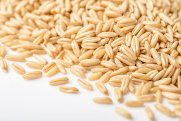 close up of oats