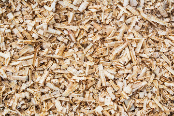 Background of wood sawdust