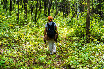 Woman hiking in the forest