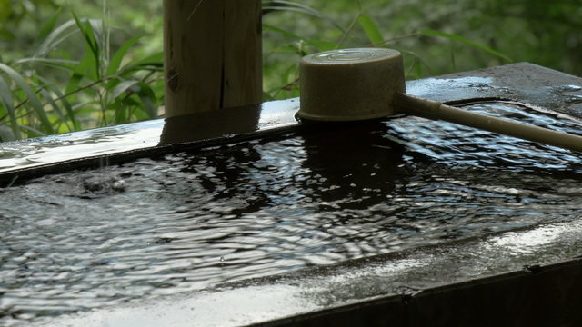 Green preservation in the heart of Tokyo.