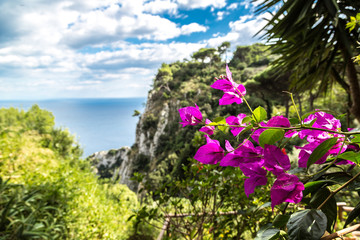 Obraz premium Capri island in Italy