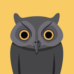 vector of owl