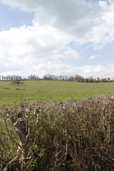 Obraz premium Praire en Bourgogne