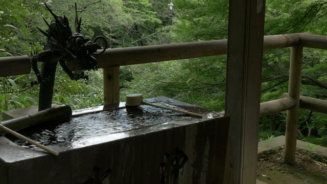 Green preservation in the heart of Tokyo.