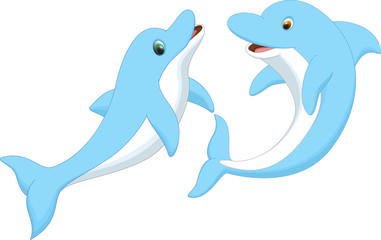 cute dolphin cuople cartoon