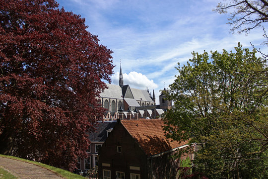 Vergezicht Leiden met Hooglandse Kerk